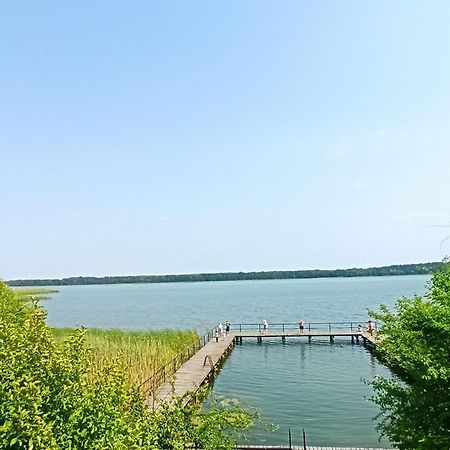 Apartament Moje Dabrowno Екстер'єр фото