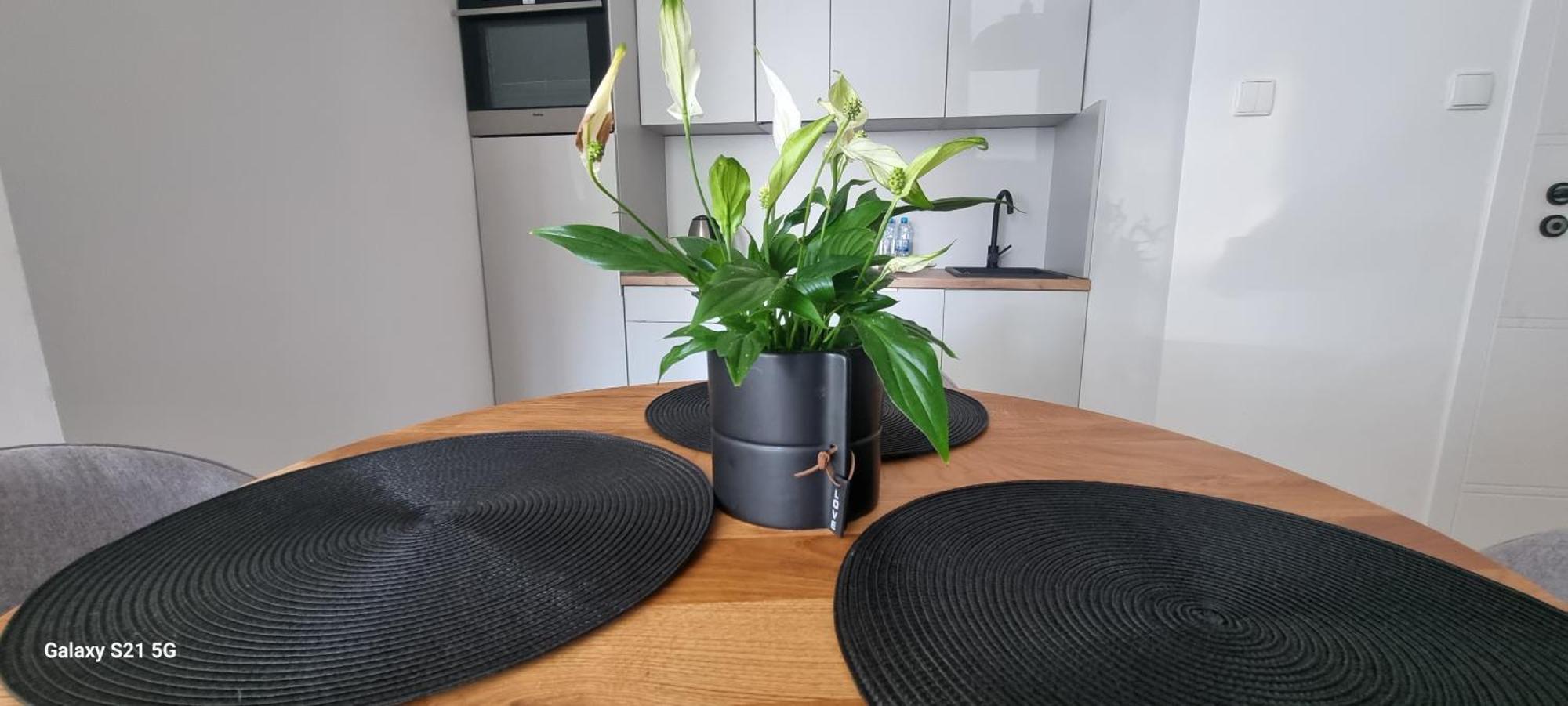 Apartament Moje Dabrowno Екстер'єр фото