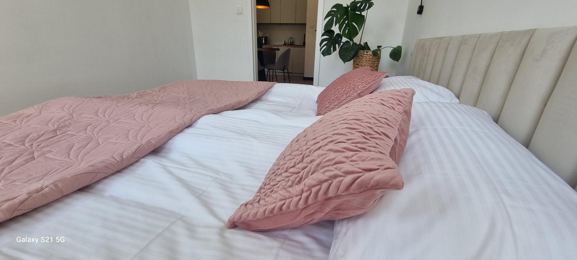 Apartament Moje Dabrowno Екстер'єр фото